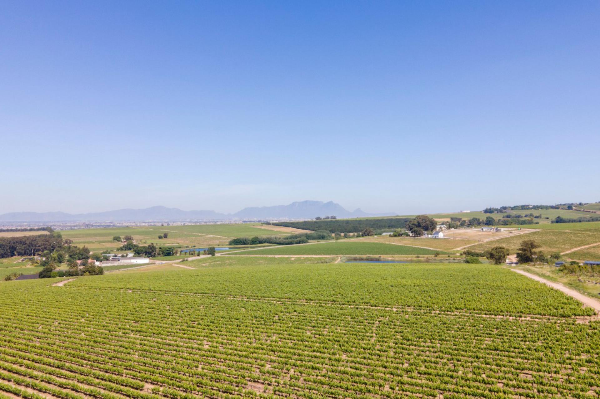  of property in Stellenbosch Farms