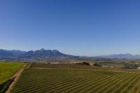  of property in Stellenbosch Farms