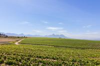  of property in Stellenbosch Farms