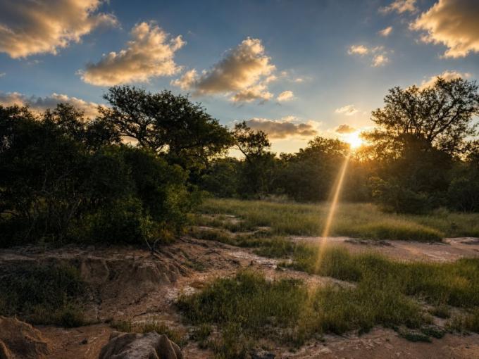 Land for Sale For Sale in Hoedspruit - MR721591