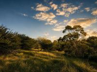  of property in Hoedspruit