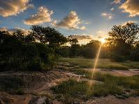  of property in Hoedspruit