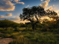 of property in Hoedspruit