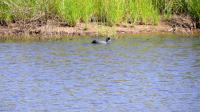  of property in Swellendam