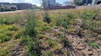  of property in Bendor