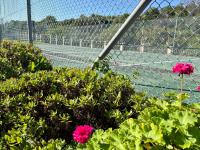  of property in Mossel Bay