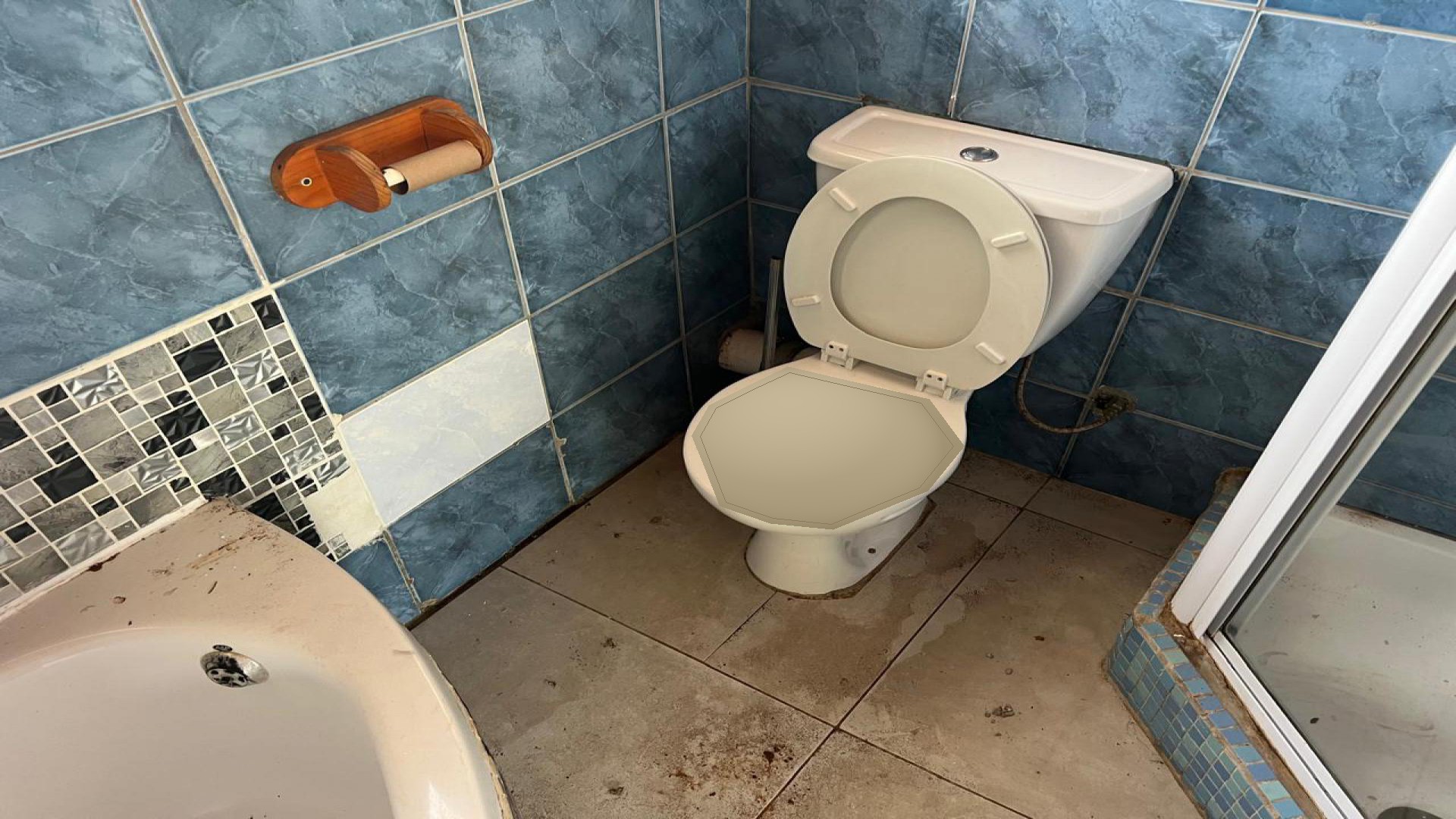 Bathroom 1 of property in Boetrand