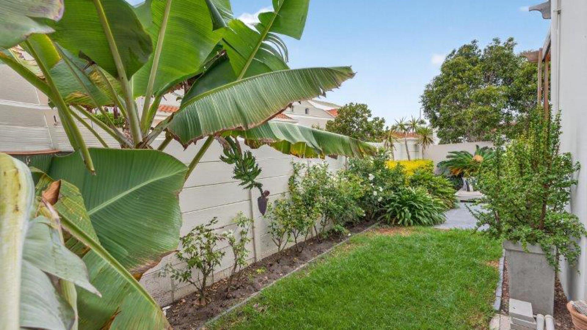 Backyard of property in Parklands