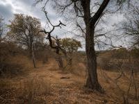  of property in Hoedspruit