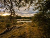 of property in Hoedspruit