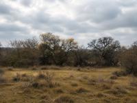  of property in Hoedspruit