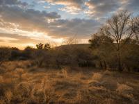  of property in Hoedspruit