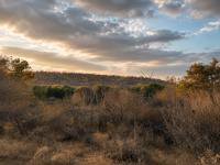  of property in Hoedspruit