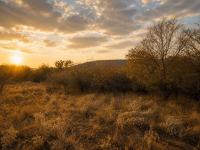  of property in Hoedspruit