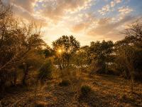  of property in Hoedspruit