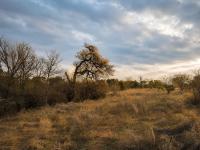  of property in Hoedspruit
