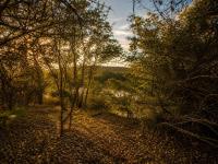  of property in Hoedspruit