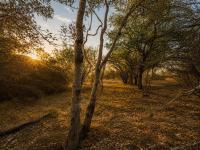  of property in Hoedspruit