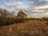  of property in Hoedspruit