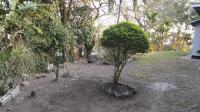  of property in Mandini