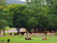  of property in Buffelspoort