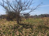  of property in Bendor