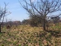  of property in Bendor