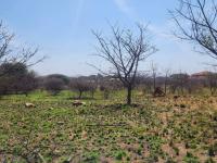  of property in Bendor