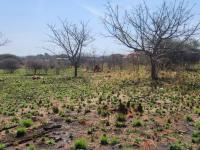  of property in Bendor