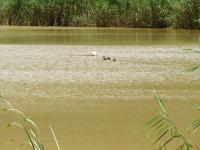  of property in Swellendam
