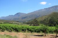  of property in Swellendam