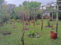  of property in Fishershaven