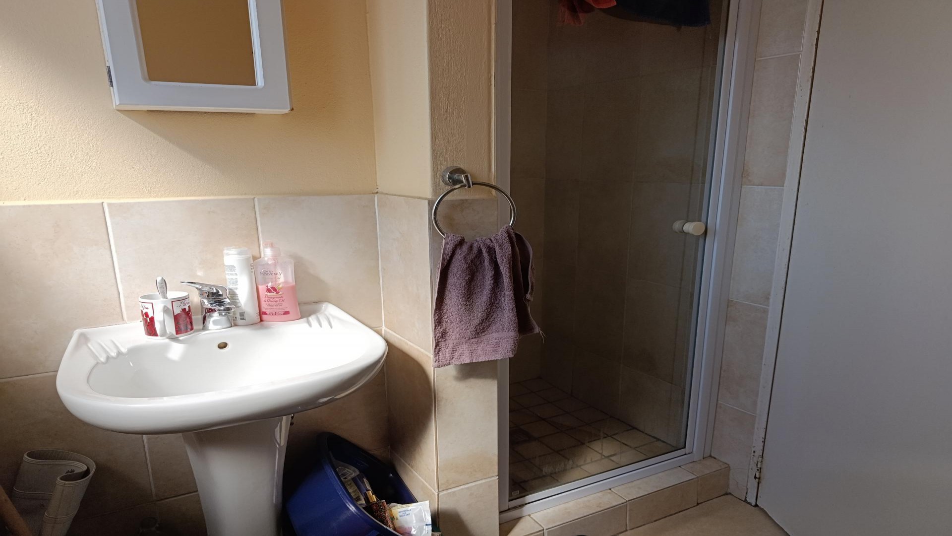 Bathroom 1 of property in Aeroton