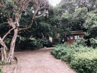  of property in Chapmans Peak