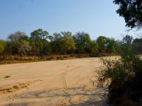  of property in Hoedspruit