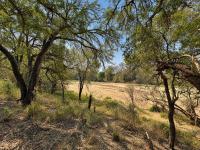  of property in Hoedspruit