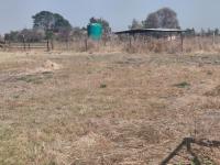  of property in Hallgate AH
