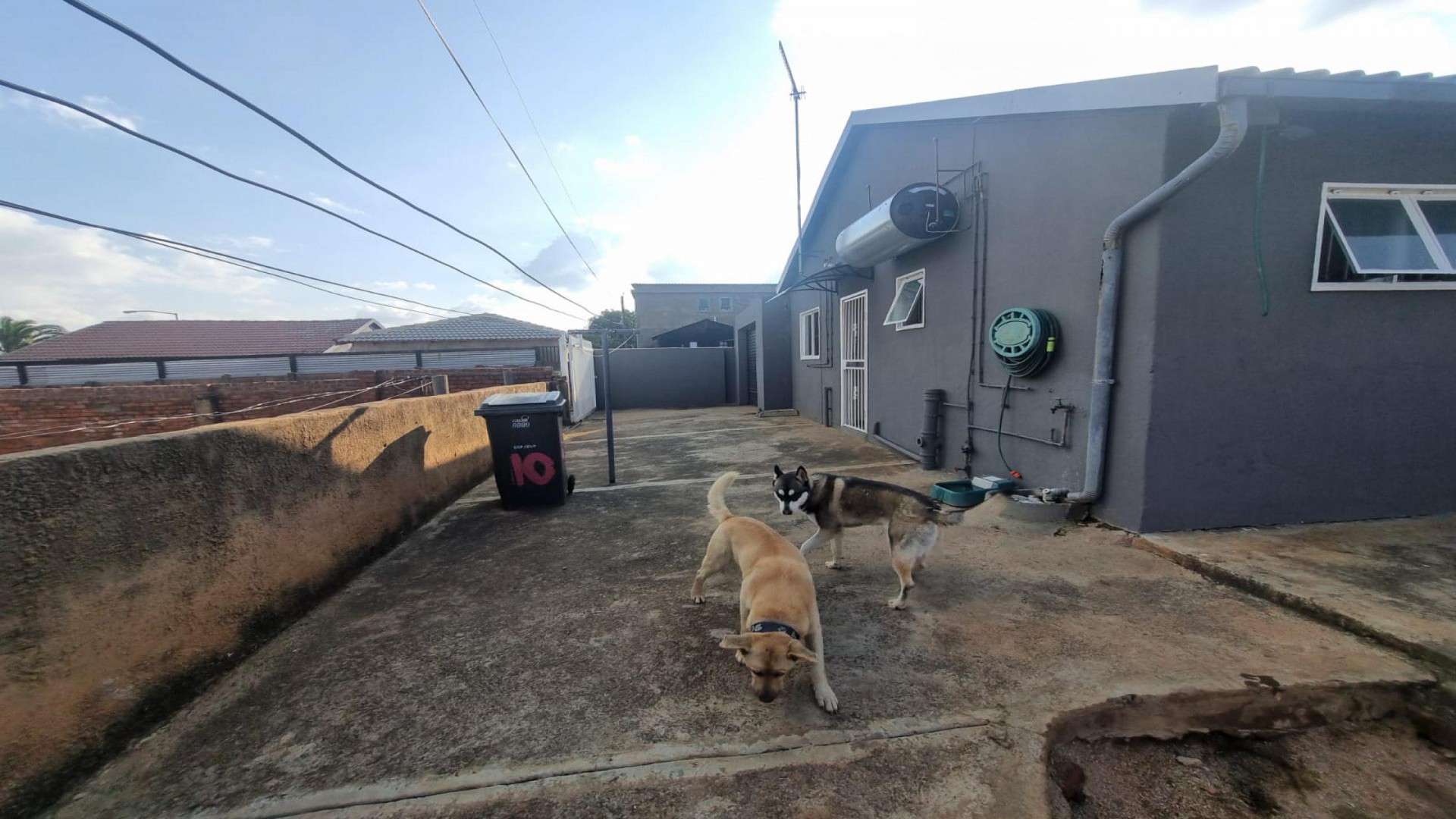 Backyard of property in Lotus Gardens
