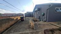 Backyard of property in Lotus Gardens