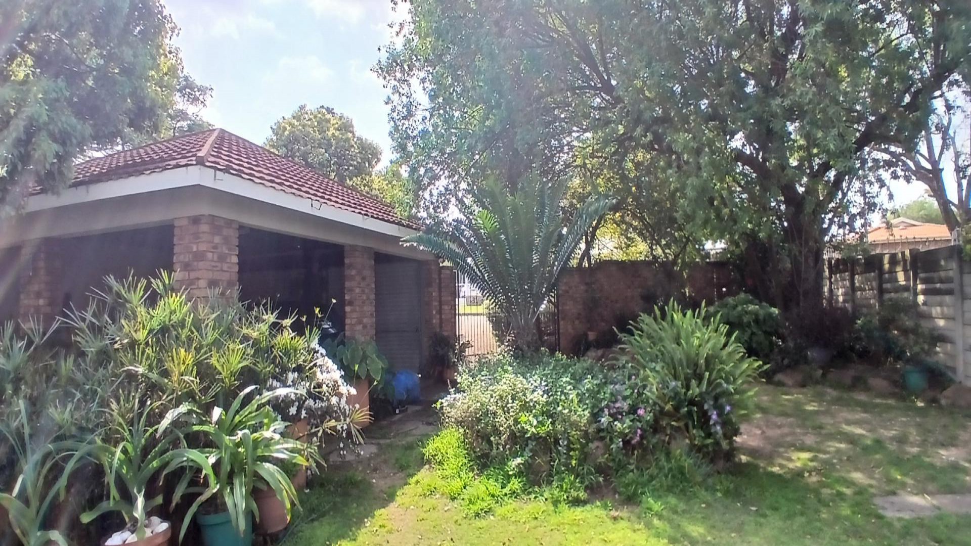 Backyard of property in Lambton