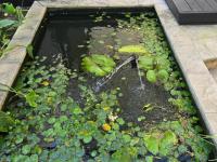  of property in Fish Hoek