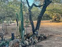  of property in Marloth Park