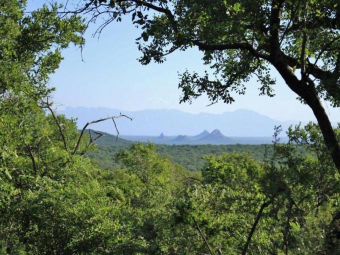 Farm for Sale For Sale in Hoedspruit - MR723460