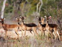  of property in Hoedspruit