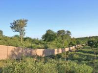  of property in Hoedspruit