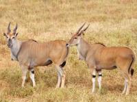  of property in Hoedspruit