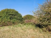  of property in Thornhill