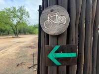  of property in Hoedspruit