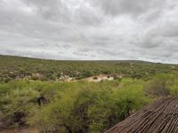  of property in Hoedspruit