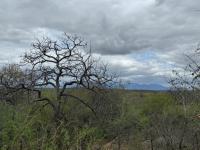  of property in Hoedspruit